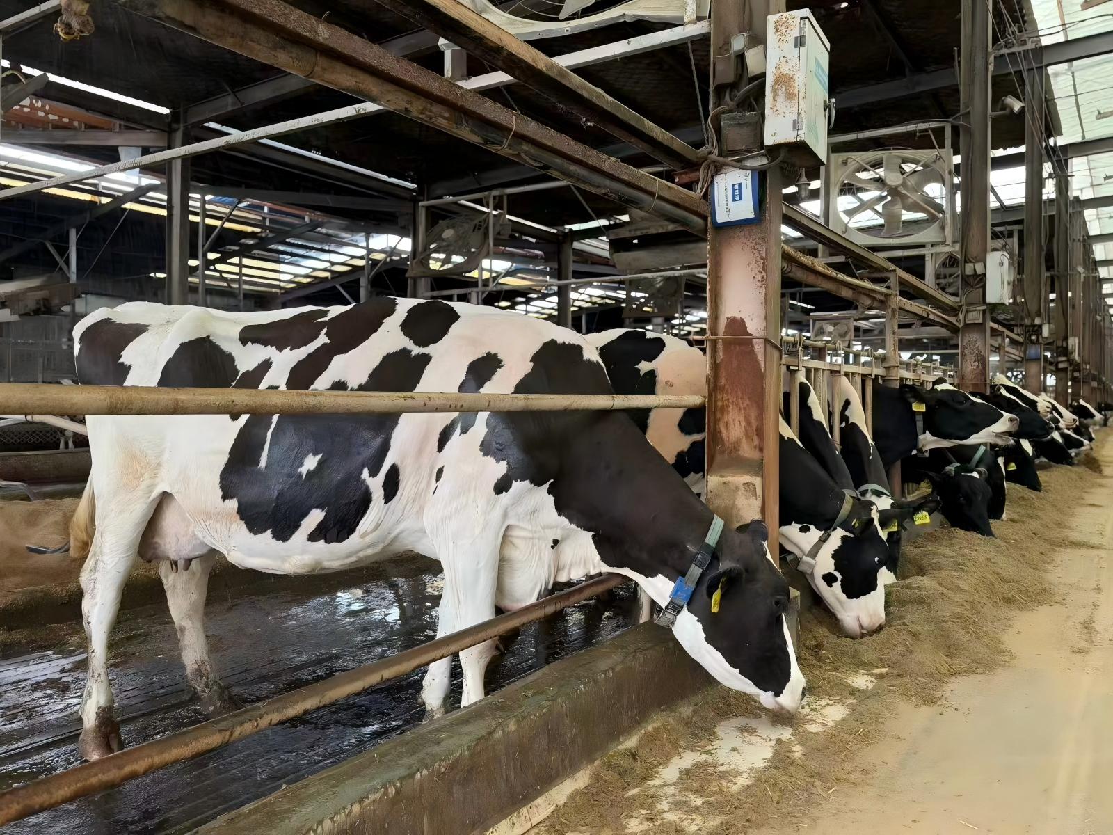 b442f7416ed5232b0c9e5fb1efc69d9f(1) b442f7416ed5232b0c9e5fb1efc69d9f(1)